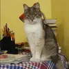 Отзыв от Жанна Высоцкая